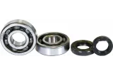 CRANK BEARING SEAL KIT