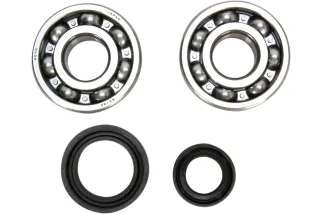 CRANK BEARING SEAL KIT