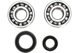 CRANK BEARING SEAL KIT