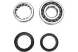 CRANK BEARING SEAL KIT