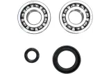 CRANK BEARING SEAL KIT