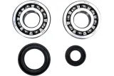 CRANK BEARING SEAL KIT