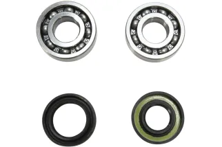 CRANK BEARING SEAL KIT