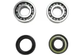 CRANK BEARING SEAL KIT