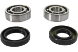 CRANK BEARING SEAL KIT