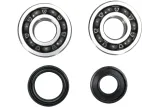 CRANK BEARING SEAL KIT