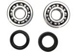 CRANK BEARING SEAL KIT