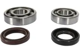 CRANK BEARING SEAL KIT