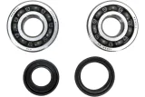 CRANK BEARING SEAL KIT