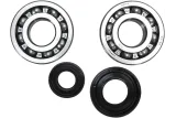 CRANK BEARING SEAL KIT