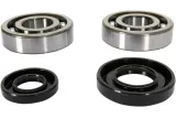 CRANK BEARING SEAL KIT