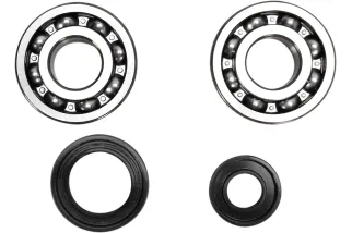 CRANK BEARING SEAL KIT
