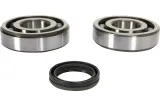 CRANK BEARING SEAL KIT