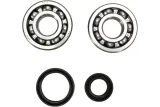 CRANK BEARING SEAL KIT