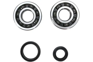 CRANK BEARING SEAL KIT