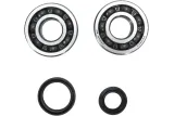CRANK BEARING SEAL KIT