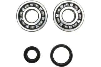CRANK BEARING SEAL KIT