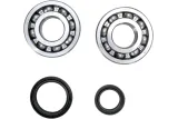 CRANK BEARING SEAL KIT