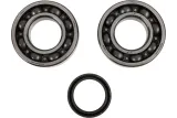 CRANK BEARING SEAL KIT