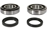 CRANK BEARING SEAL KIT