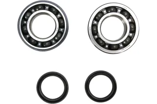 CRANK BEARING SEAL KIT
