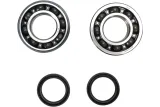 CRANK BEARING SEAL KIT