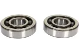 CRANK BEARING SEAL KIT