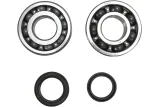 CRANK BEARING SEAL KIT