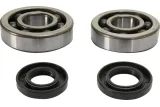 CRANK BEARING SEAL KIT