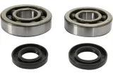 CRANK BEARING SEAL KIT