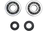 CRANK BEARING SEAL KIT