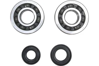 CRANK BEARING SEAL KIT