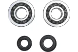 CRANK BEARING SEAL KIT