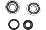 CRANK BEARING SEAL KIT