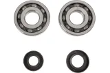 CRANK BEARING SEAL KIT