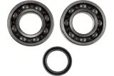CRANK BEARING SEAL KIT