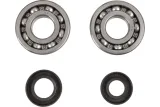 CRANK BEARING SEAL KIT