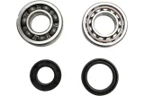 CRANK BEARING SEAL KIT