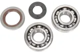 CRANK BEARING SEAL KIT
