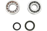 CRANK BEARING SEAL KIT