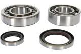 CRANK BEARING SEAL KIT