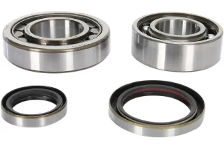 CRANK BEARING SEAL KIT