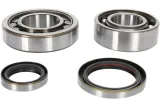 CRANK BEARING SEAL KIT