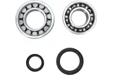 CRANK BEARING SEAL KIT