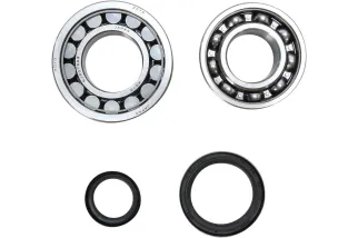 CRANK BEARING SEAL KIT