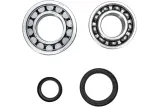 CRANK BEARING SEAL KIT