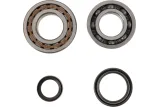 CRANK BEARING SEAL KIT