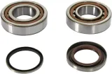 CRANK BEARING SEAL KIT