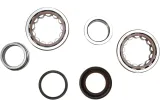 CRANK BEARING SEAL KIT
