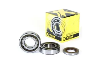CRANK BEARING SEAL KIT
